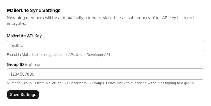 MailerLite admin settings form with an API key field and an optional group ID field