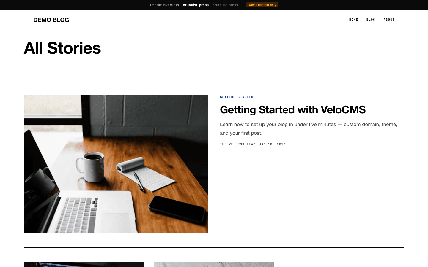 Brutalist Press theme preview