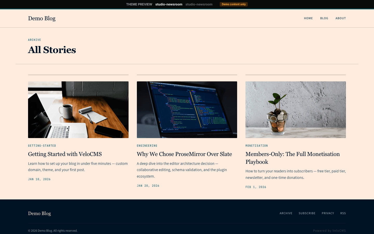 Studio Newsroom theme full preview