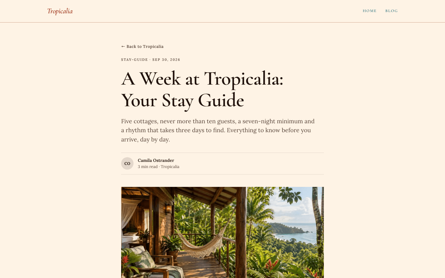 قالب Tropicalia: صفحة مقالة